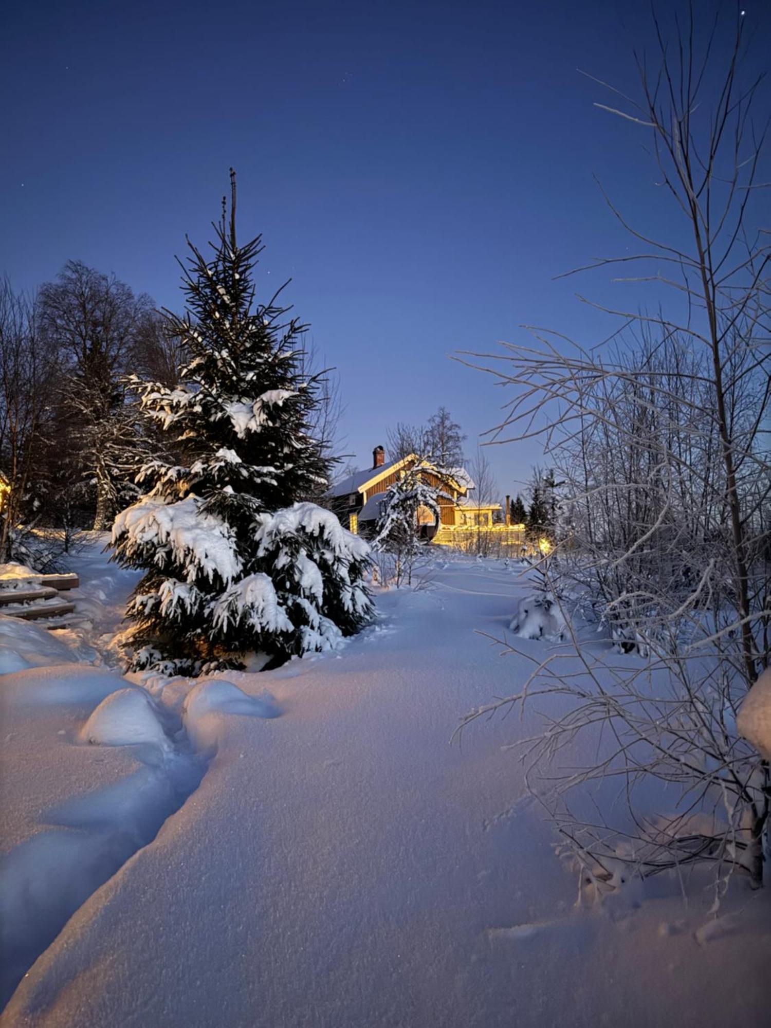 Cozy Forest Cabin With Amazing Mountain View Torsby Exterior photo
